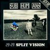 29-29 Split Vision