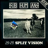 29-29 Split Vision