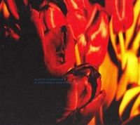 A Strangely Isolated Place