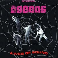 A Web of Sound