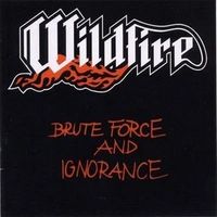 Brute Force and Ignorance