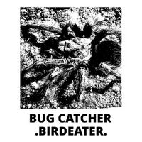 Bug Catcher / .birdeater.