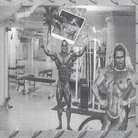 Do You Believe in Hawaii?