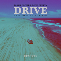 Drive (Red Axes Remix)