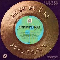 Elektronik Türküler