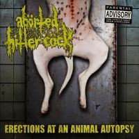 Erections at an Animal Autopsy