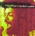 Evolution (And Flashback): The Very Best Of Gil Scott-Heron