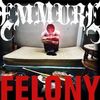 Felony