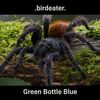 Green Bottle Blue
