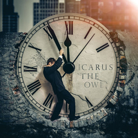 Icarus the Owl