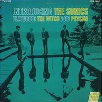 Introducing The Sonics