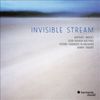 Invisible Stream