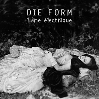 L'ame Electrique