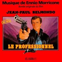 Le professionnel