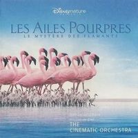 Les ailes pourpres: le mystère des flamants