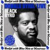 Black Byrd