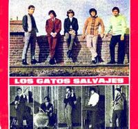 Los Gatos Salvajes