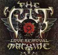Love Removal Machine (Extended Version)
