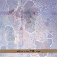 Masada Anniversary Edition Vol. 2: Voices in the Wilderness