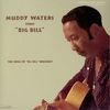 Muddy Waters Sings Big Bill Broonzy