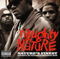 Naughty By Nature (The Megamix)