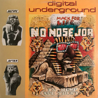 No Nose Job (The Extra-Bumblebee-Scratch-Bonus-Beatstrumental Mix)