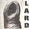 The Power Of Lard