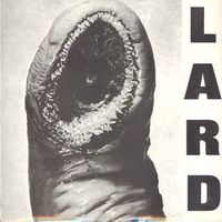 The Power Of Lard