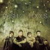 Rush of Fools