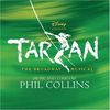 Tarzan - The Broadway Musical