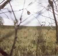 The Cycle of Days and Seasons