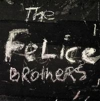 The Felice Brothers