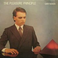 The Pleasure Principle