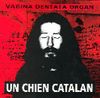 Un chien catalan