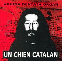 Un chien catalan