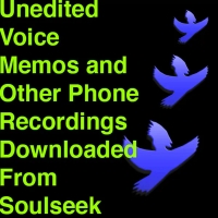 Unedited Voice Memos and Other Phone Recordings Downloaded From Soulseek