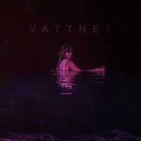 Vattnet