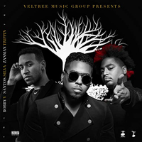 Veltree Music Group Presents