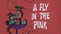 A Fly in the Pink