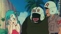 Bulma's Bad Day