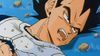 Defeat Frieza, Goku! The Tears of the Proud Saiyan Prince!