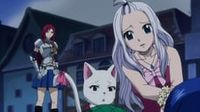 Fairy Tail Wizards