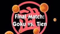 Final Match: Goku vs. Tien