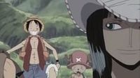 From the Sea, a Friend Arrives! The Straw Hats Share the Strongest Bond!