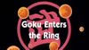 Goku Enters the Ring