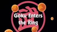 Goku Enters the Ring