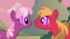 Hearts and Hooves Day