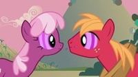 Hearts and Hooves Day