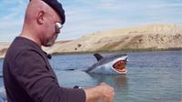 MythBusters vs. Jaws