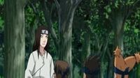 Neji Chronicles